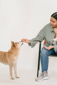 Rôle Clé des Croquettes dans la Santé du Chien : Alimentation et Bien-Être canin