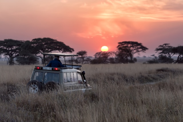 safari en Afrique