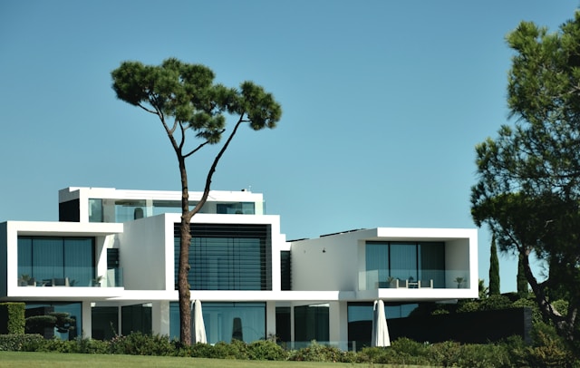 Immobilier commercial