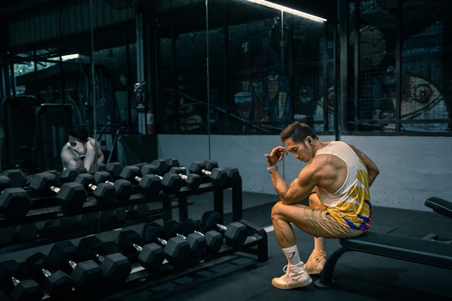 Programme de musculation