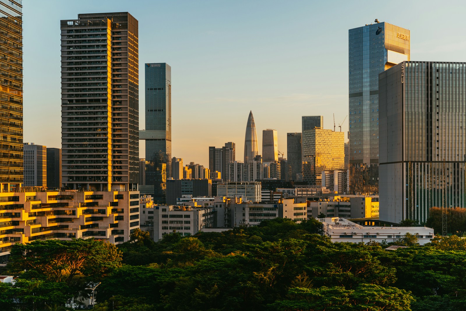 A view of a city with tall buildings